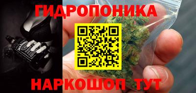 СК Тверь