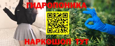 СК Тверь