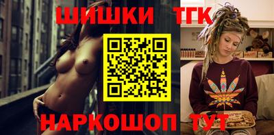 МДПВ Татарск
