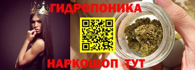 ПСИЛОЦИБИНОВЫЕ ГРИБЫ Тара