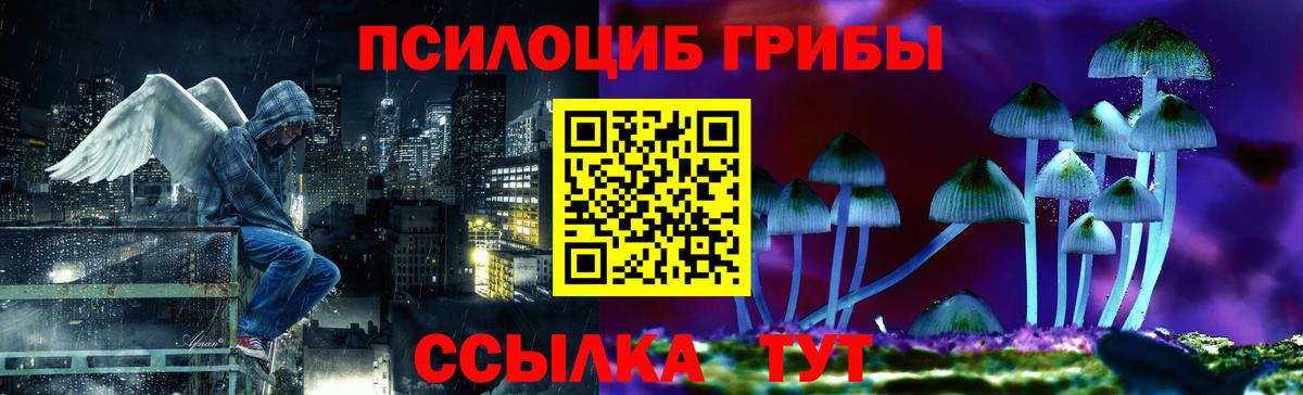 Псилоцибиновые грибы GOLDEN TEACHER Оренбург